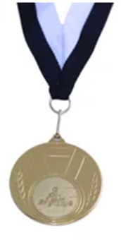 150 Large Medals All Gold with Logo & Ribbons 