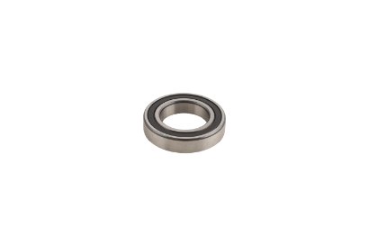 6007 Bearing