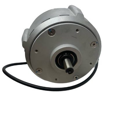 IPM Electric Motor